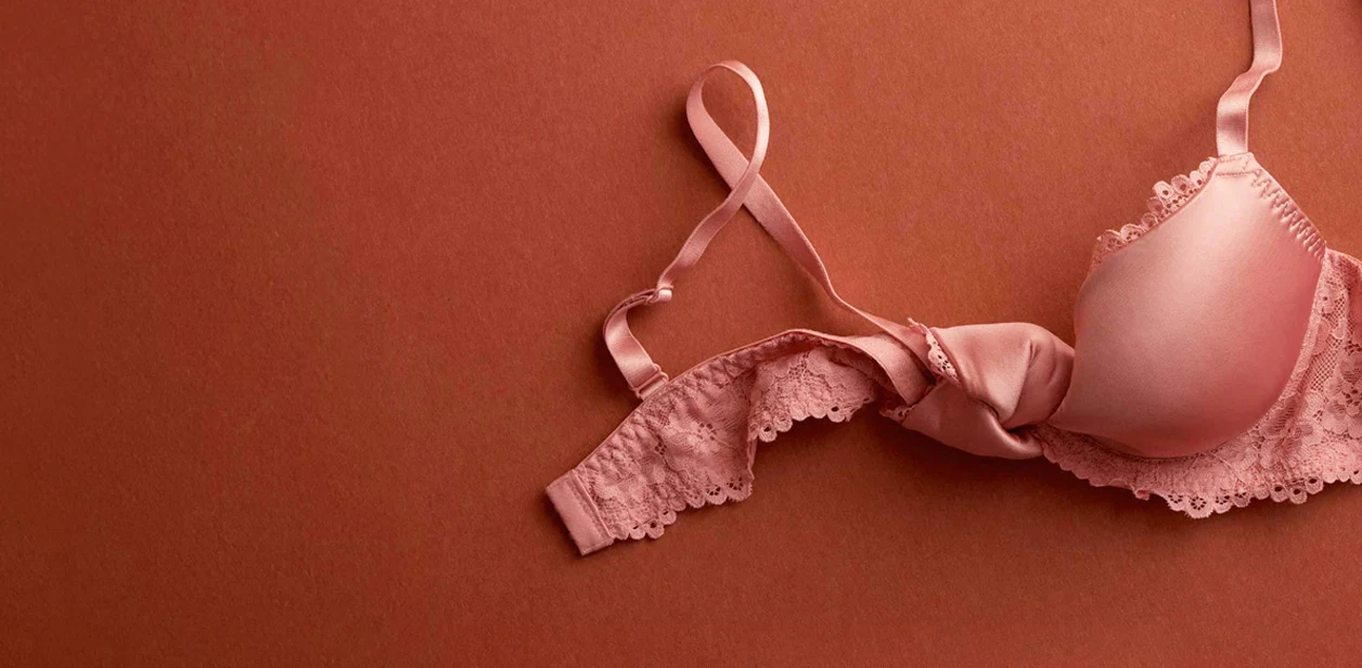 Soutien-gorge vieux rose avec dentelle sur un fond couleur terre cuite. Lingerie élégante pour femme